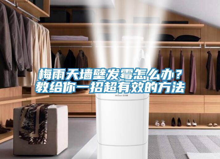 梅雨天墙壁发霉怎么办？教给你一招超有效的方法