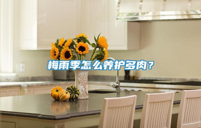 梅雨季怎么养护多肉？