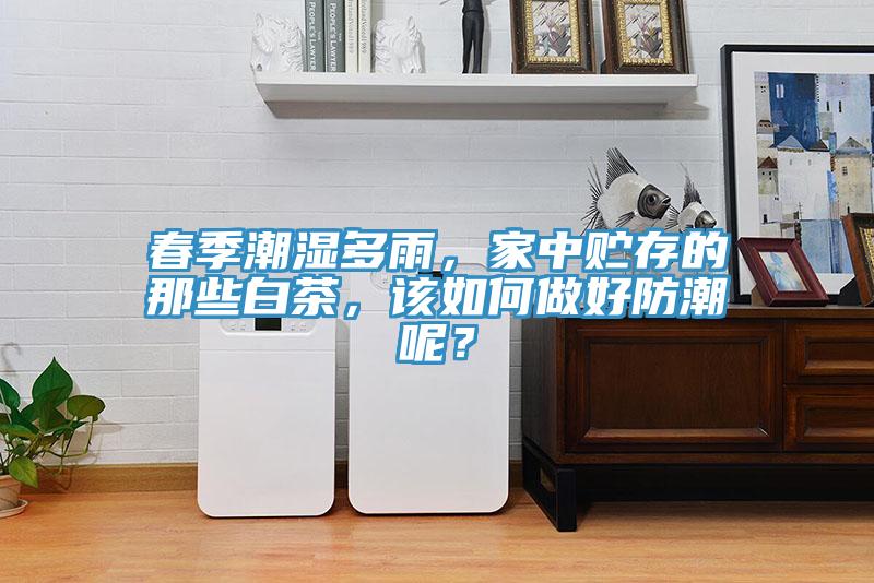 春季潮湿多雨，家中贮存的那些白茶，该如何做好防潮呢？