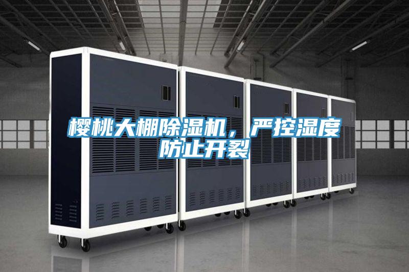 樱桃大棚除湿机，严控湿度防止开裂