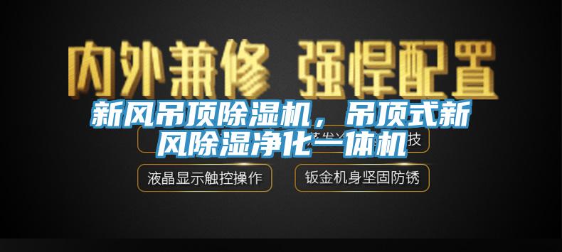 新风吊顶除湿机，吊顶式新风除湿净化一体机