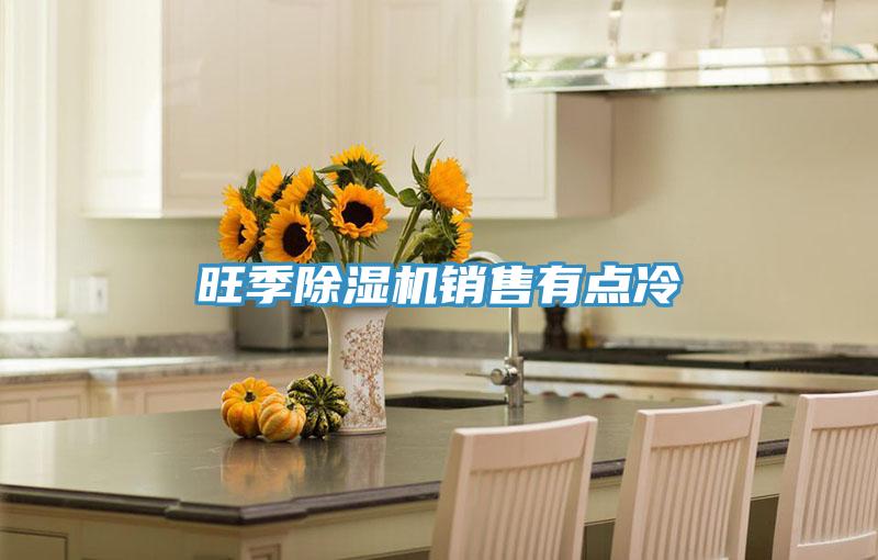 旺季除湿机销售有点冷