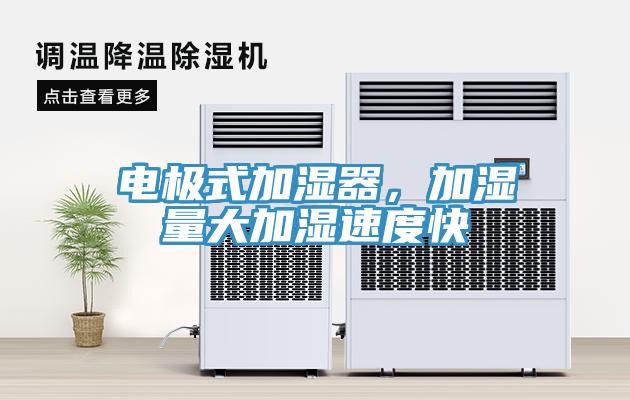 电极式加湿器，加湿量大加湿速度快