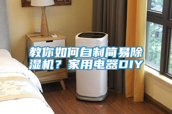 教你如何自制简易除湿机？家用电器DIY