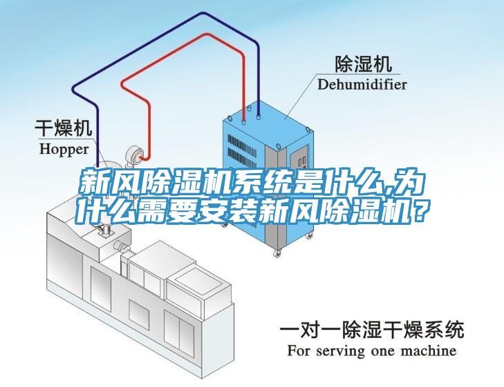 新风除湿机系统是什么,为什么需要安装新风除湿机？