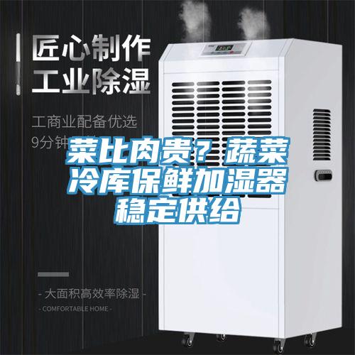 菜比肉贵？蔬菜冷库保鲜加湿器稳定供给