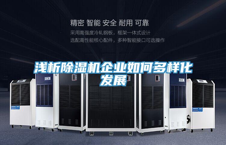 浅析除湿机企业如何多样化发展