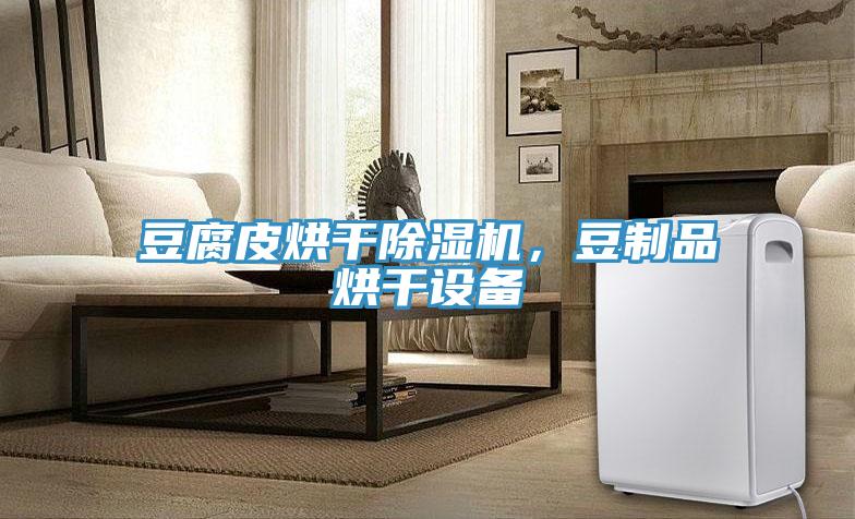 豆腐皮烘干除湿机，豆制品烘干设备