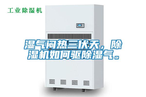 湿气闷热三伏天，除湿机如何驱除湿气。