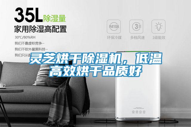 灵芝烘干除湿机，低温高效烘干品质好