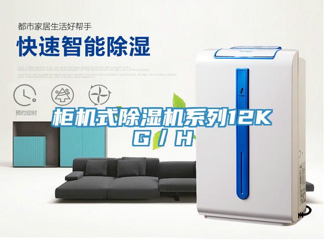 柜机式除湿机系列12KG／H