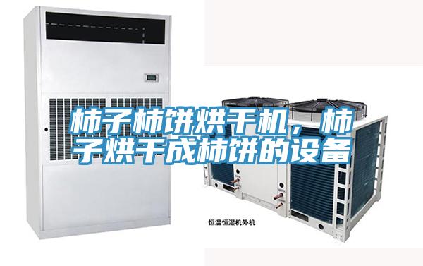 柿子柿饼烘干机，柿子烘干成柿饼的设备