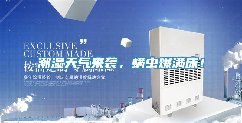 潮湿天气来袭，螨虫爆满床！