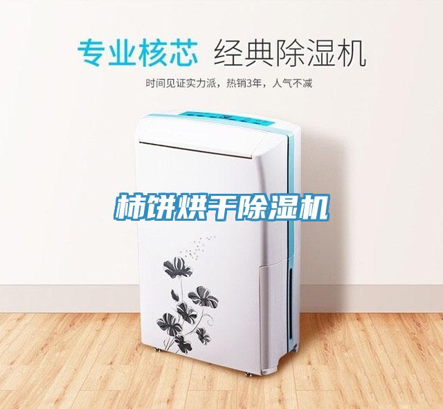 柿饼烘干除湿机