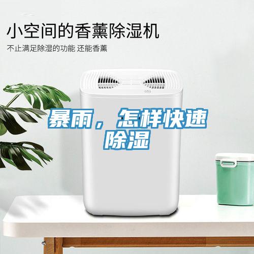 暴雨，怎样快速除湿