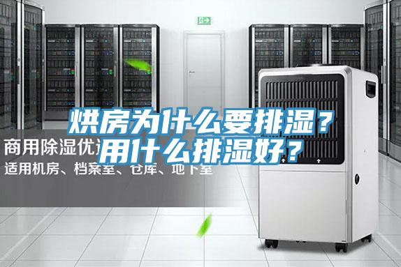 烘房为什么要排湿？用什么排湿好？