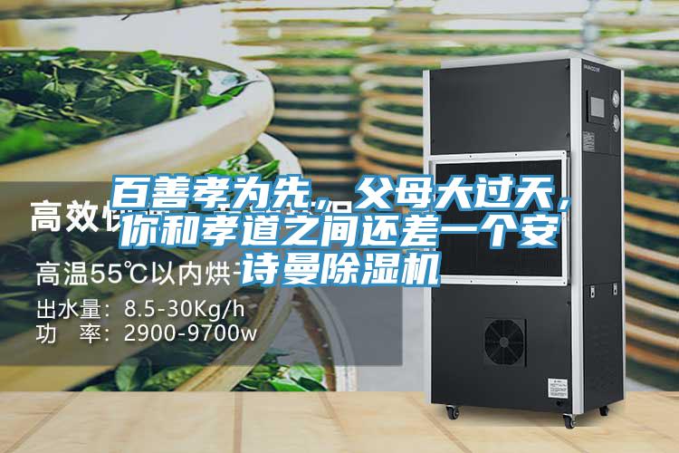 百善孝为先，父母大过天，你和孝道之间还差一个安诗曼除湿机
