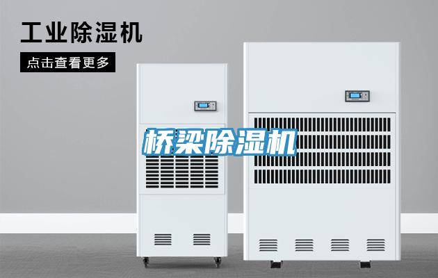 桥梁除湿机