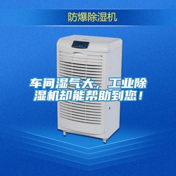车间湿气大，工业除湿机却能帮助到您！