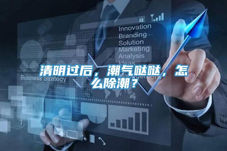 清明过后，潮气哒哒，怎么除潮？