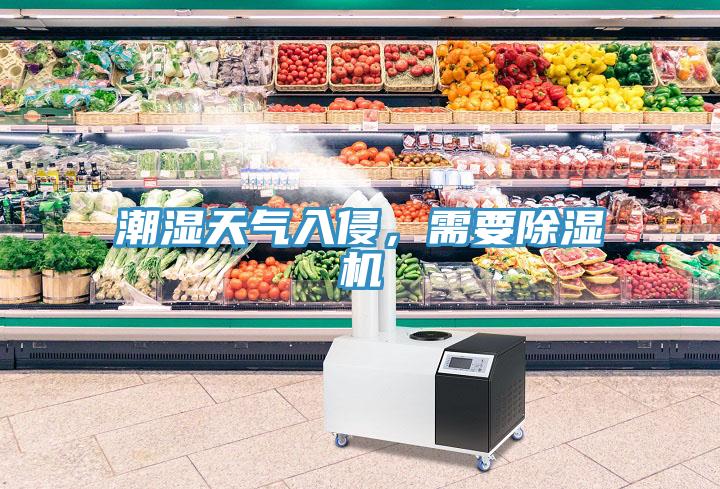 潮湿天气入侵，需要除湿机