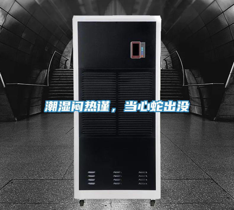 潮湿闷热谨，当心蛇出没