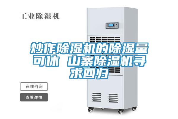 炒作除湿机的除湿量可休 山寨除湿机寻求回归