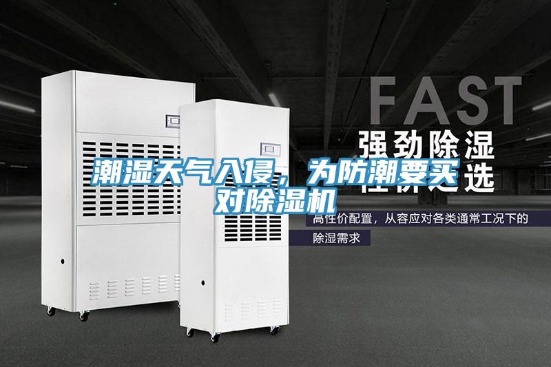 潮湿天气入侵，为防潮要买对除湿机