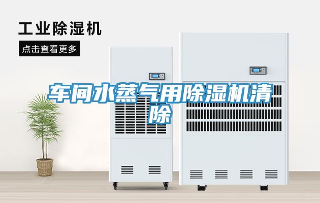 车间水蒸气用除湿机清除