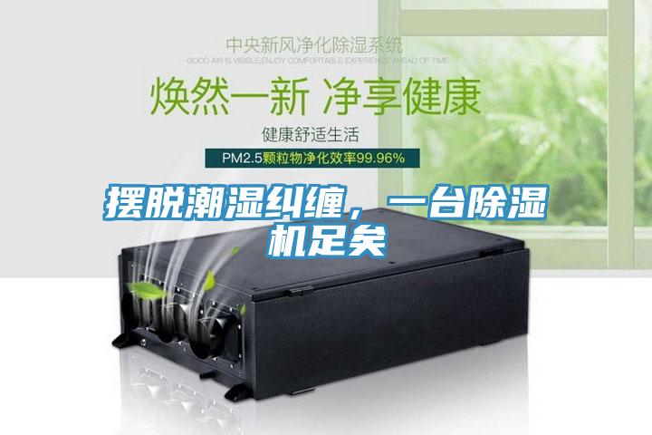 摆脱潮湿纠缠，一台除湿机足矣