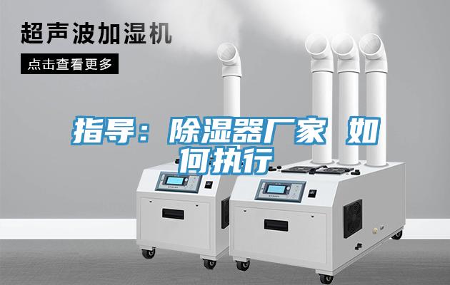 指导：除湿器厂家 如何执行