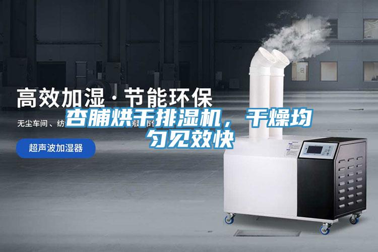 杏脯烘干排湿机，干燥均匀见效快