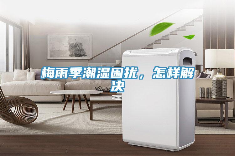 梅雨季潮湿困扰，怎样解决