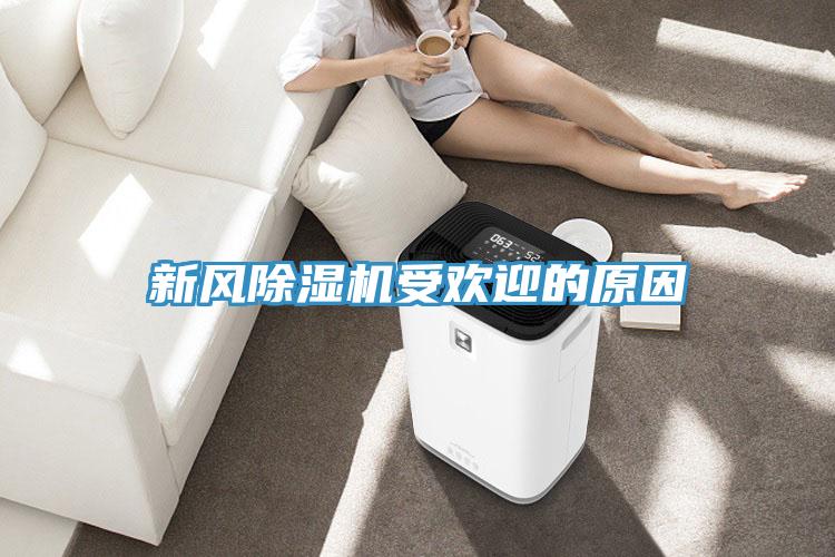 新风除湿机受欢迎的原因