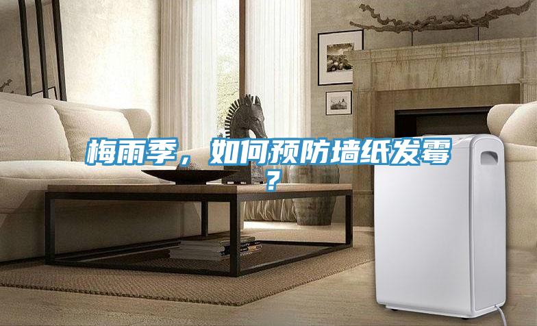 梅雨季，如何预防墙纸发霉？