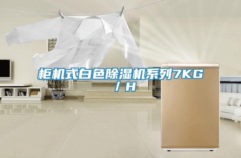 柜机式白色除湿机系列7KG／H
