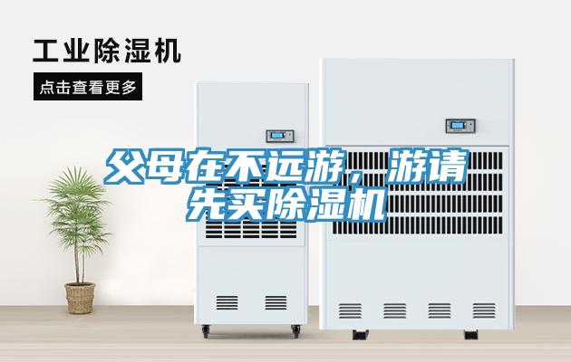 父母在不远游，游请先买除湿机
