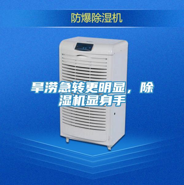 旱涝急转更明显，除湿机显身手