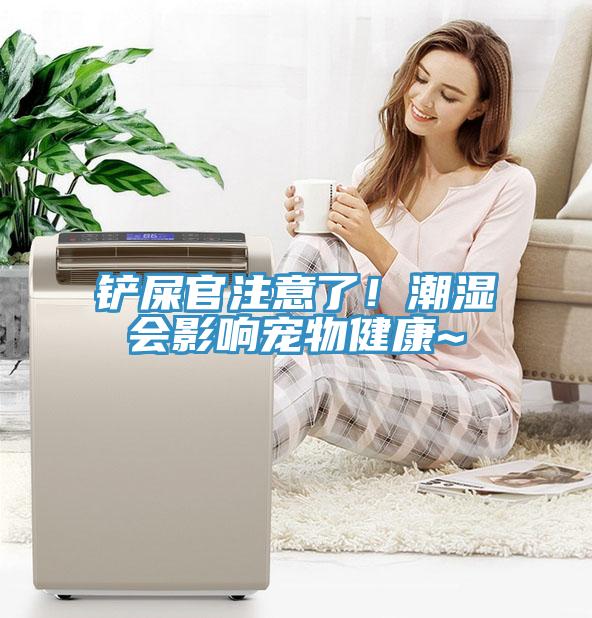 铲屎官注意了！潮湿会影响宠物健康~