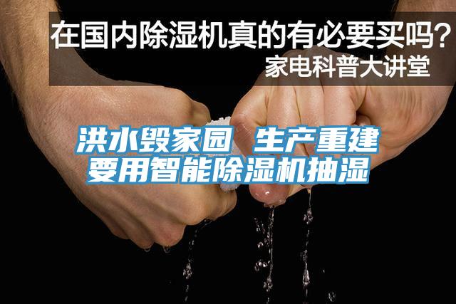 洪水毁家园 生产重建要用智能除湿机抽湿