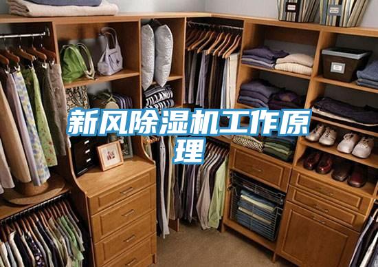 新风除湿机工作原理