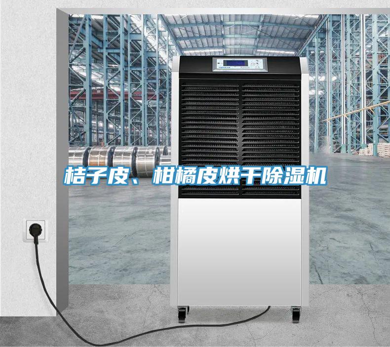 桔子皮、柑橘皮烘干除湿机