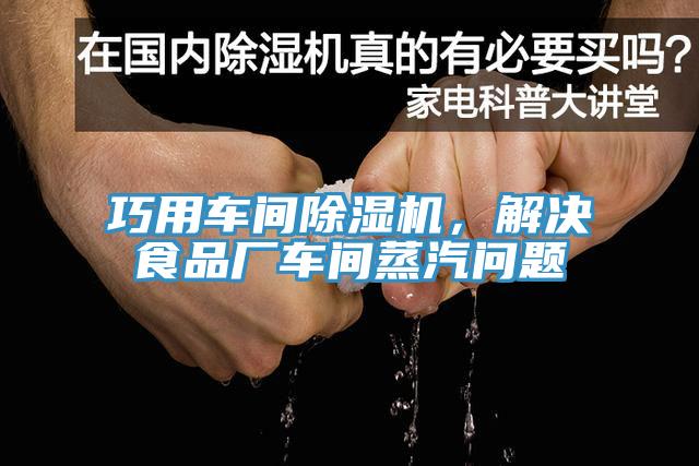 巧用车间除湿机，解决食品厂车间蒸汽问题