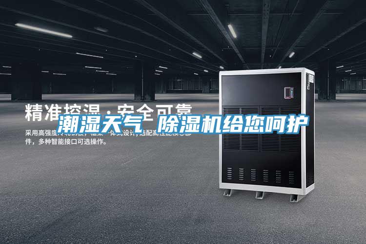 潮湿天气 除湿机给您呵护