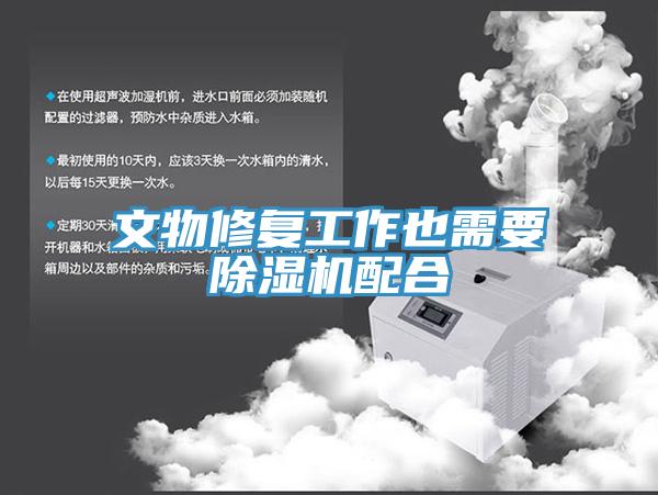 文物修复工作也需要除湿机配合
