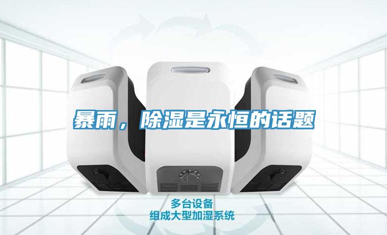 暴雨，除湿是永恒的话题
