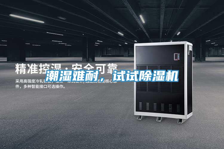 潮湿难耐，试试除湿机