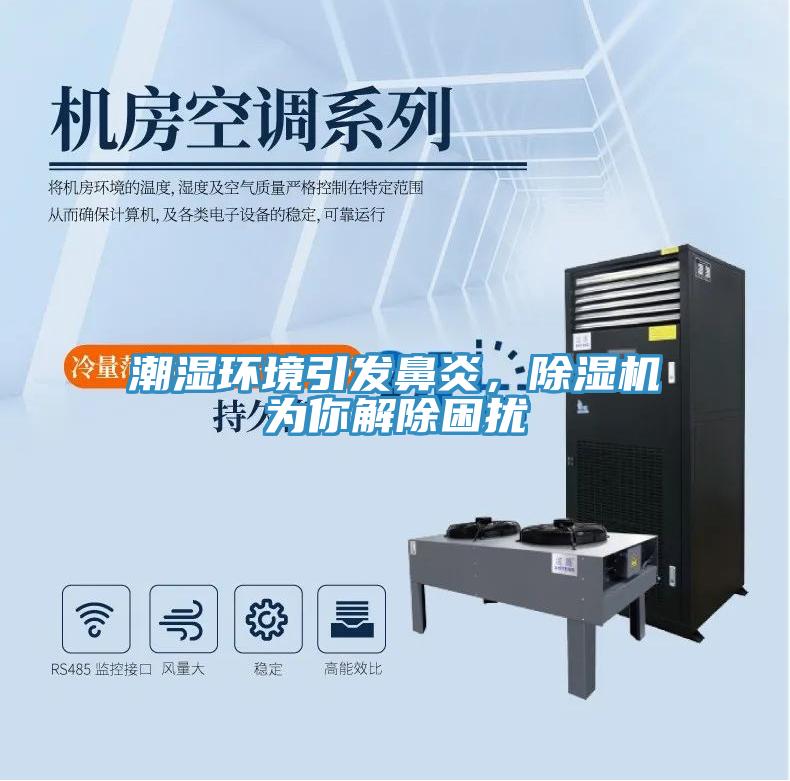 潮湿环境引发鼻炎，除湿机为你解除困扰