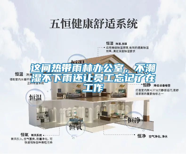 这间热带雨林办公室，不潮湿不下雨还让员工忘记了在工作