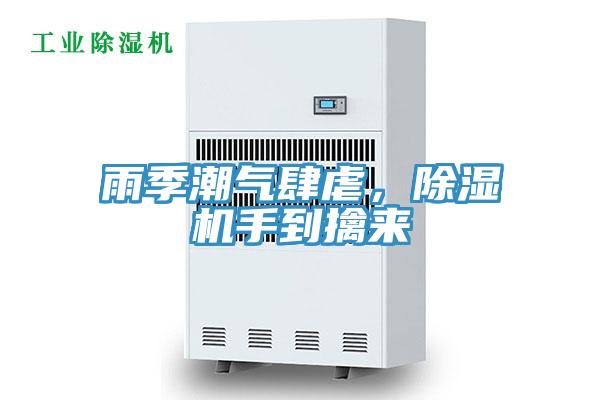 雨季潮气肆虐，除湿机手到擒来